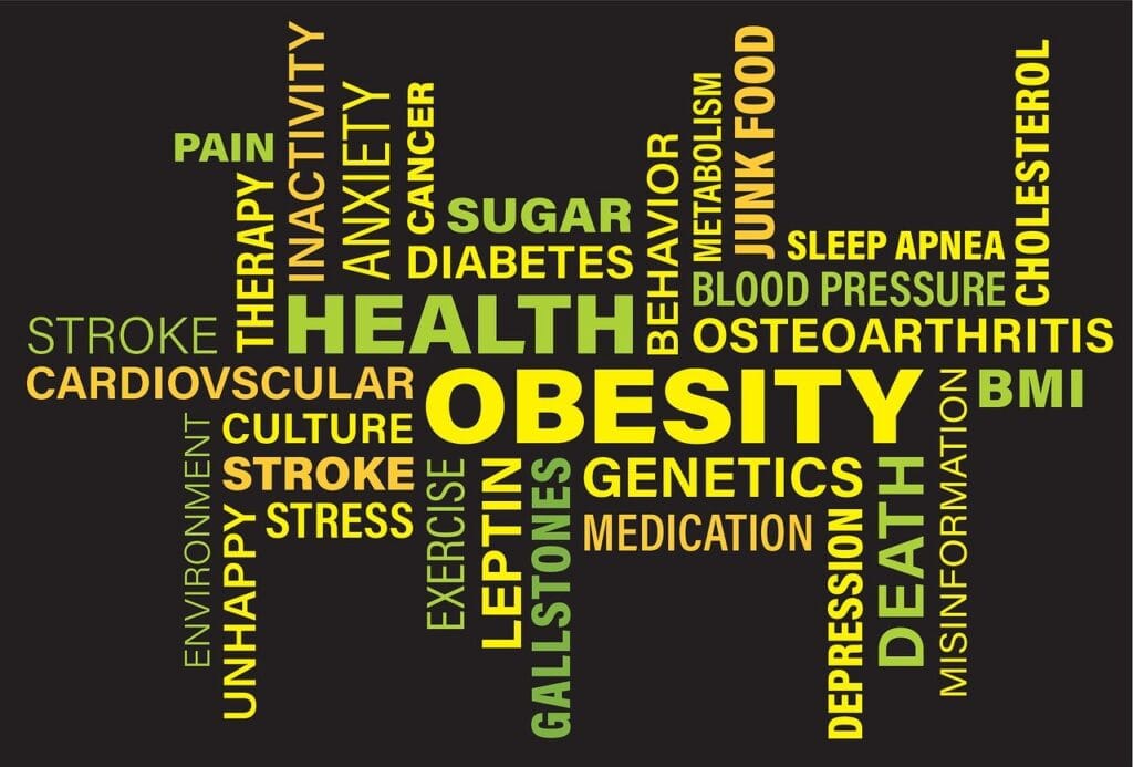 BMI: Rethinking Obesity and Understanding Health BMI Rethinking Obesity Looking Past BMI to Understand Health