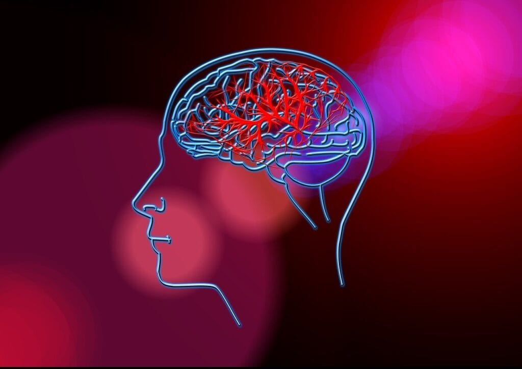 Blood Flow in the Brain Can Be Blocked by Microplastics 2025 Microplastics Microplastics' Effect on Brain Blood
